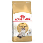 Royal Canin Ragdoll Adult Crocchette per gatto