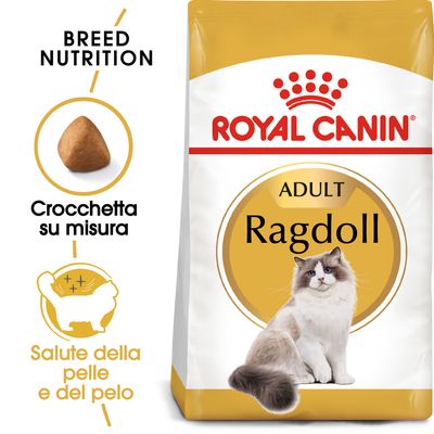 Royal Canin Ragdoll Adult Crocchette per gatto