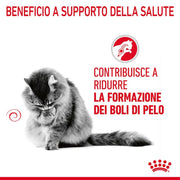 Royal Canin Hairball Care Crocchette per gatto