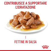 Royal Canin Urinary Care umido in Salsa per gatti